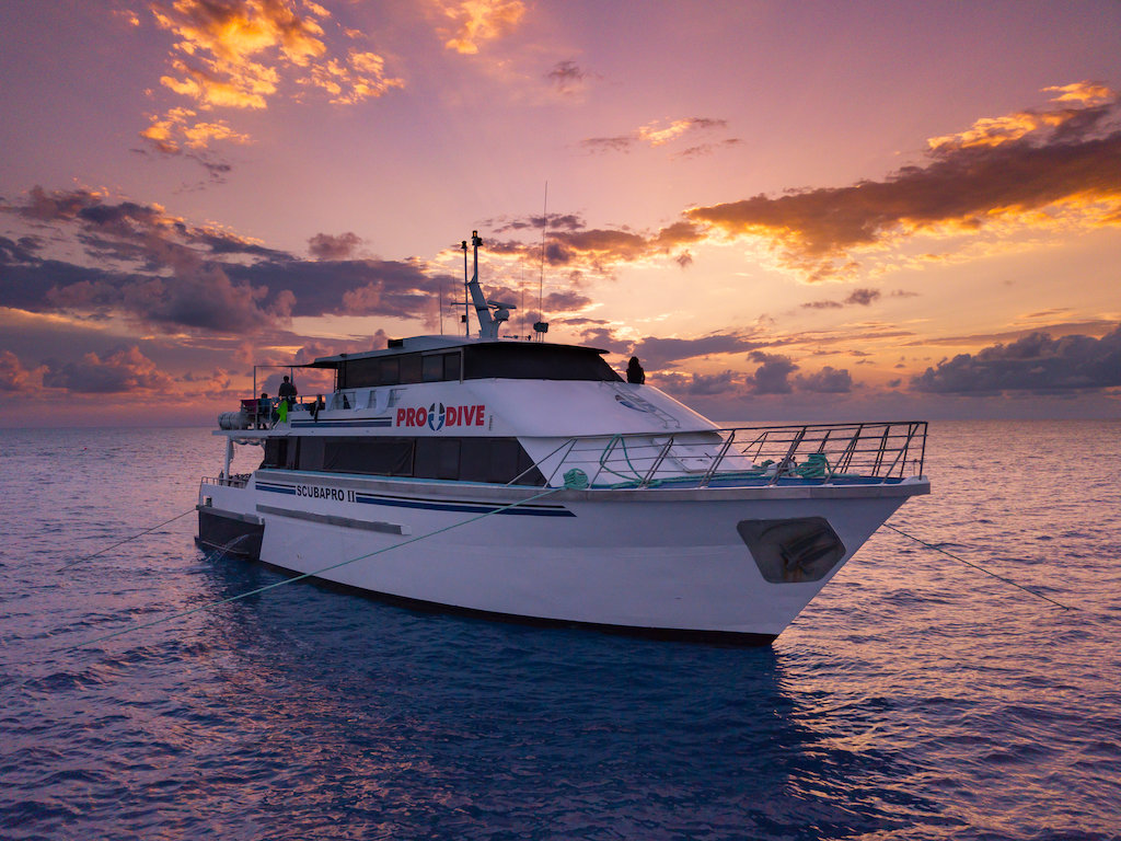 5 Day Learn To Scuba Dive Open Water Course