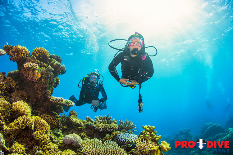 Prodive Cairns