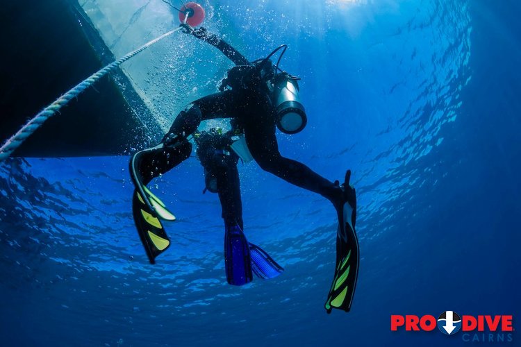 Prodive Cairns