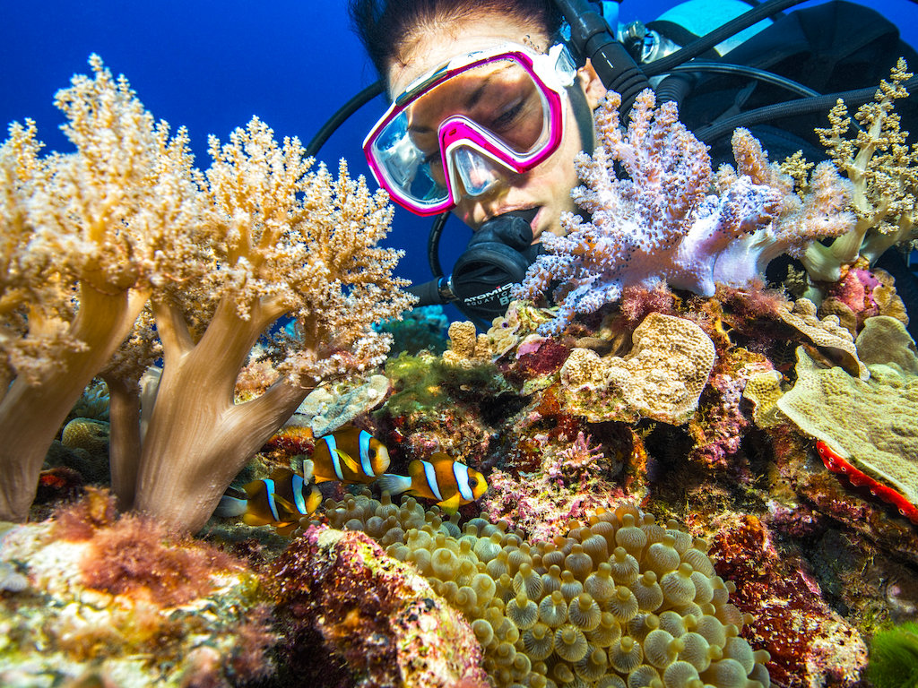 Ocean Referral Dive Course 