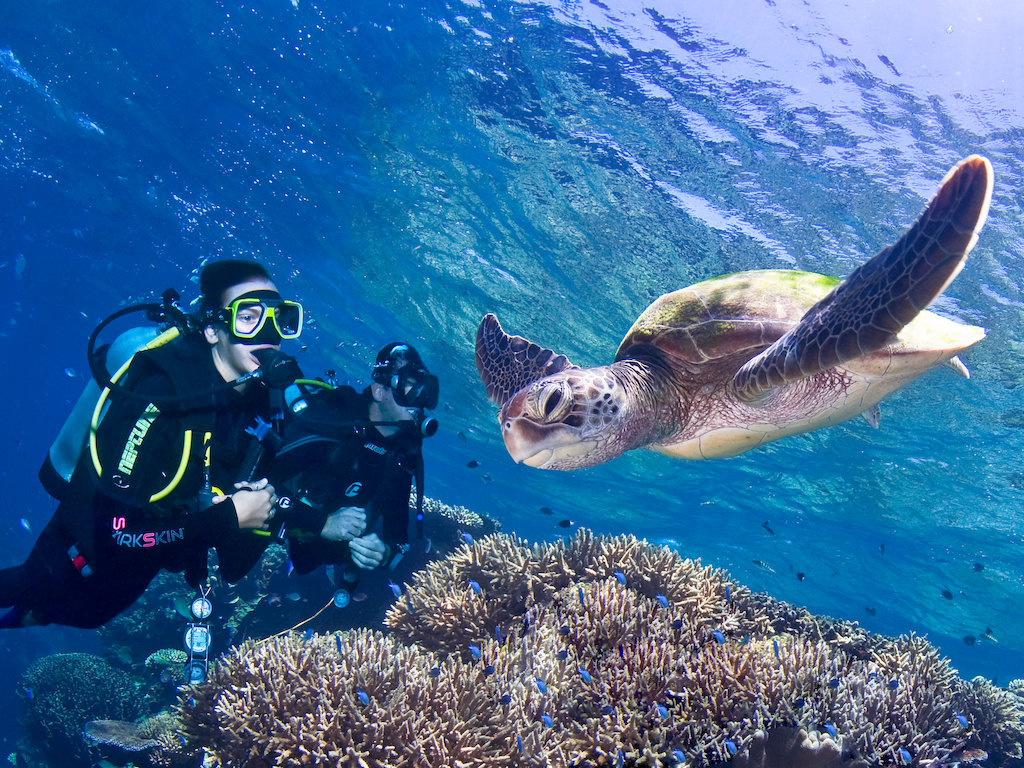 3 Day Great Barrier Reef liveaboard Dive Trip